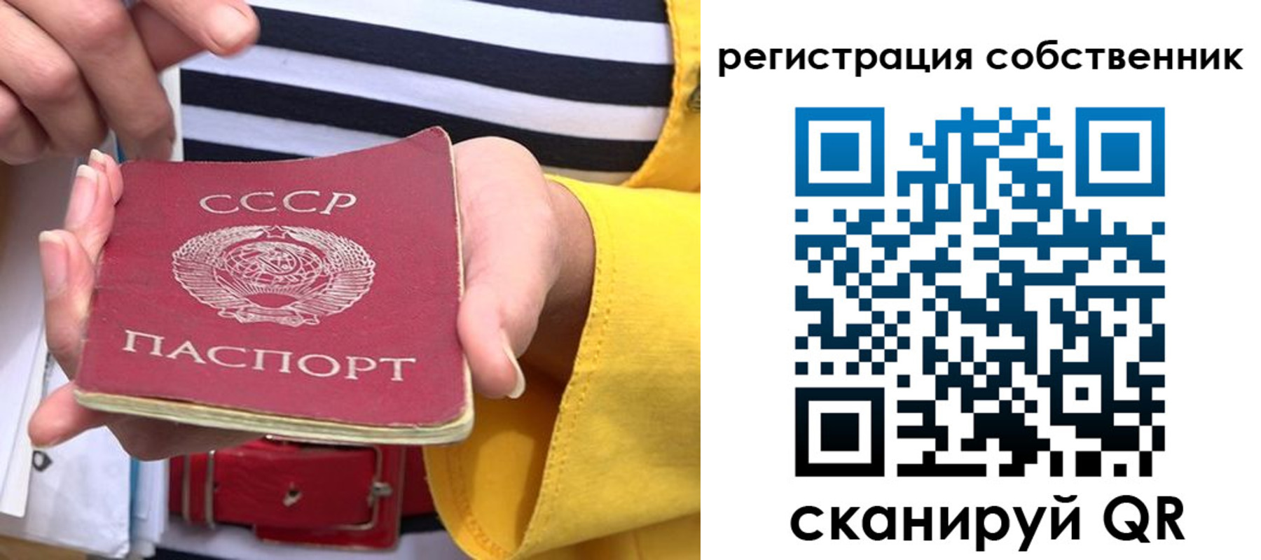 временная прописка в Ногинске